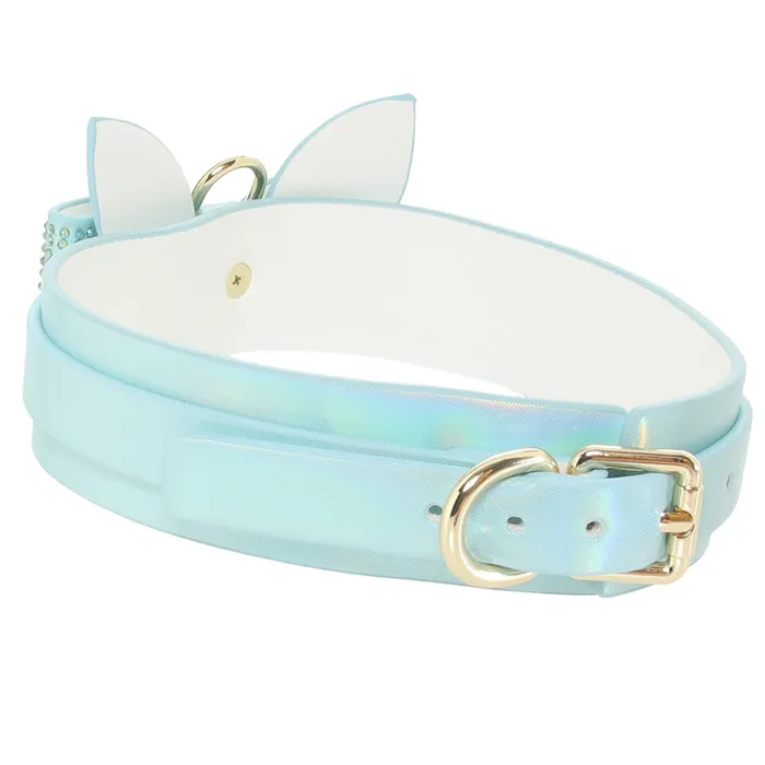 Vibrators Ouch Paris Collection Collar Leash in Blue Shots Toys